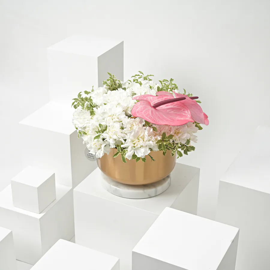Carnation & Anthurium | Gold Vase 1
