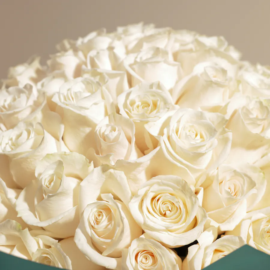 Elegant White | 100 Rose Bouquet 3