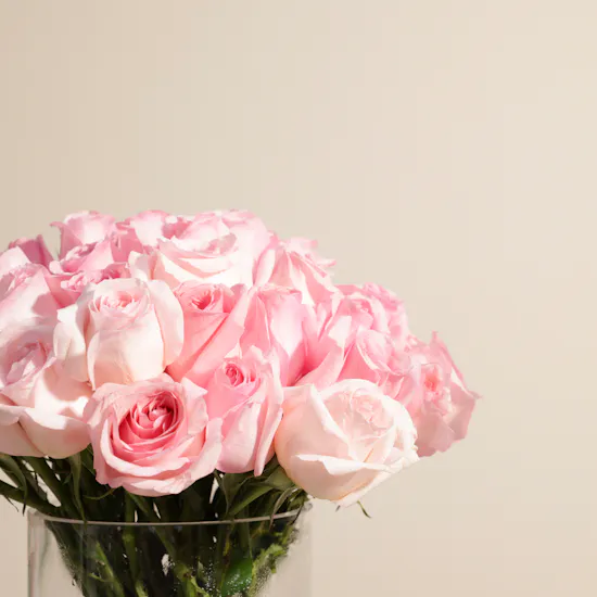 Exquisite Pink Rose Vase