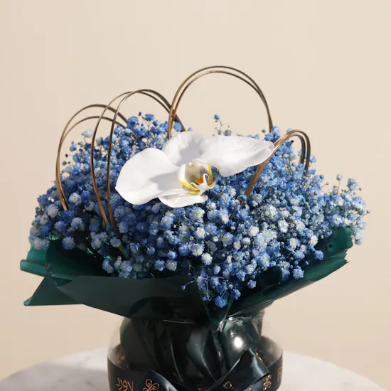 Sky Spa Bloom Men Care Gift Voucher | Eclipse Grace Flower Vase