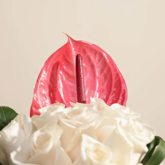 Deep Love | Square Vase