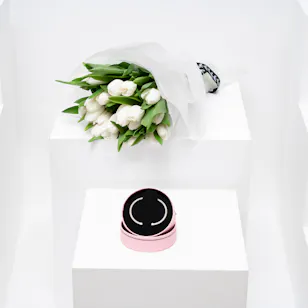 Tous Silver Mesh Bracelet Bear Motif | Tulips Bouquet
