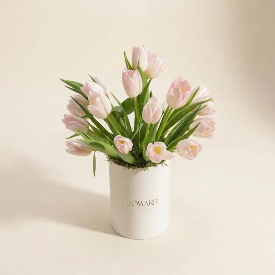 Warm Hug for Flower Box 2