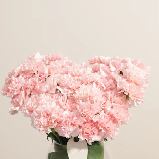 Graceful Pink Carnation Vase