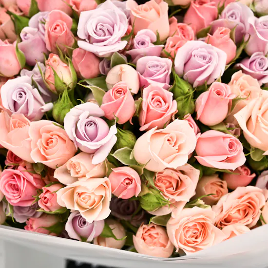 joyful bouquet, Graduation collocation