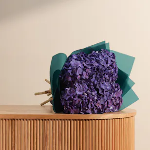 Hydrangea Whisper Bouquet Hydrangea Whisper Bouquet