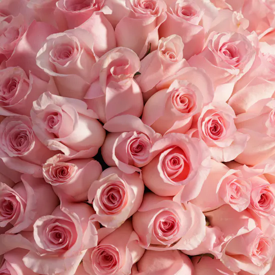 Delightful Blooms for Mother's Day | 100 Roses