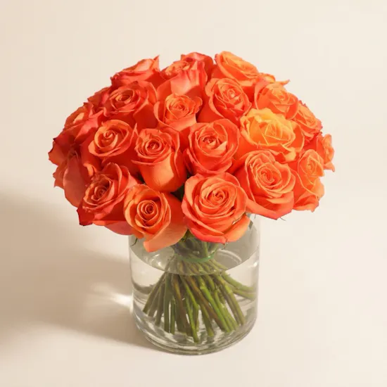 Orange Roses Vase | 35 Flowers