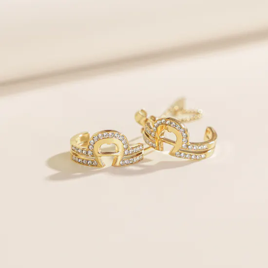 Aigner Gold Zirconia Earrings