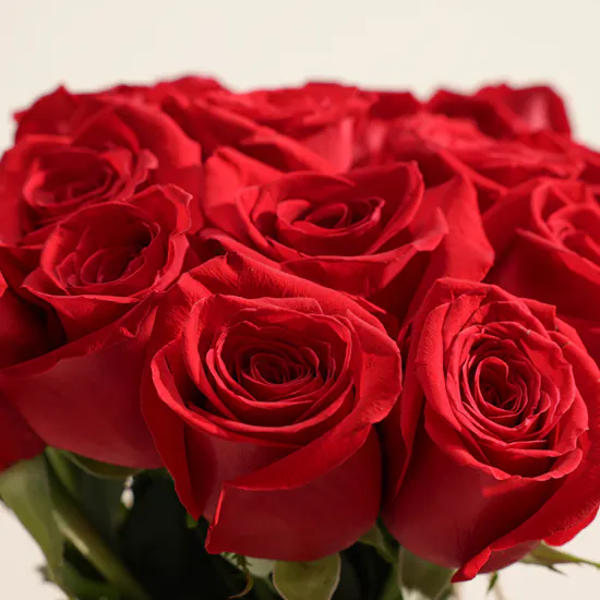 Rose Glow Flowers Vase