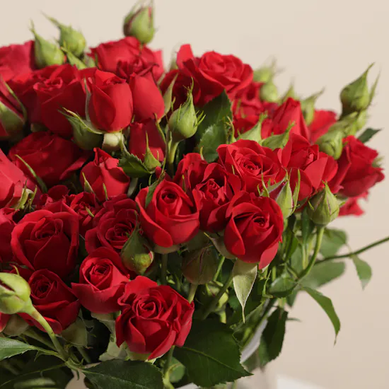Ruby Cloud Flower Vase