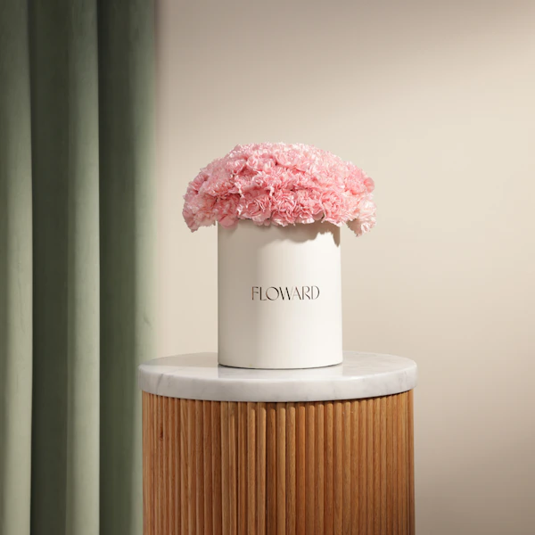 Lush Pink Carnation Box | 35 Flowers