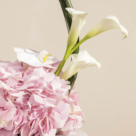 Molton Brown Fiery Pink Pepper Bath & Shower Gel | Delicate Blooms