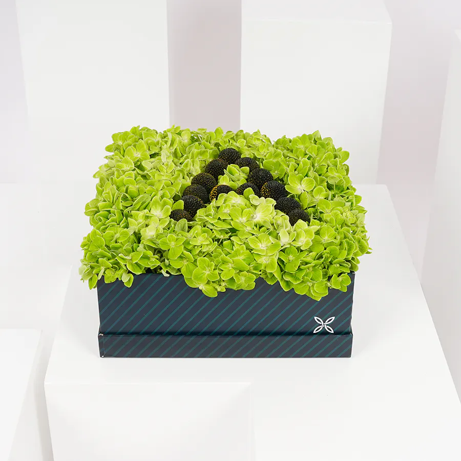 Personalized Flowers Letters  | Craspedia 5