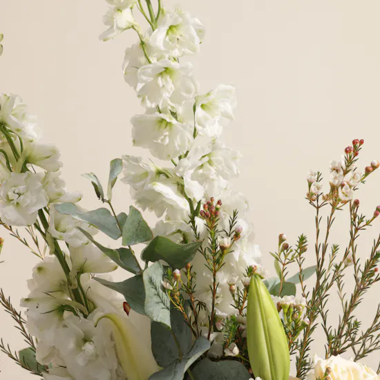 Soft Serenade Flowers Box