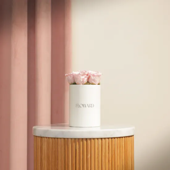 Elegant Pink Preserved Roses Box