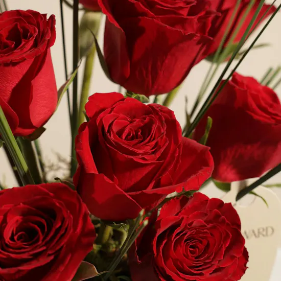 Lovely Bloom Red Roses Vase
