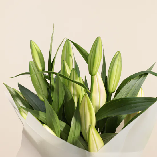 Levo Chocolates | Beautiful Flower Bouquet