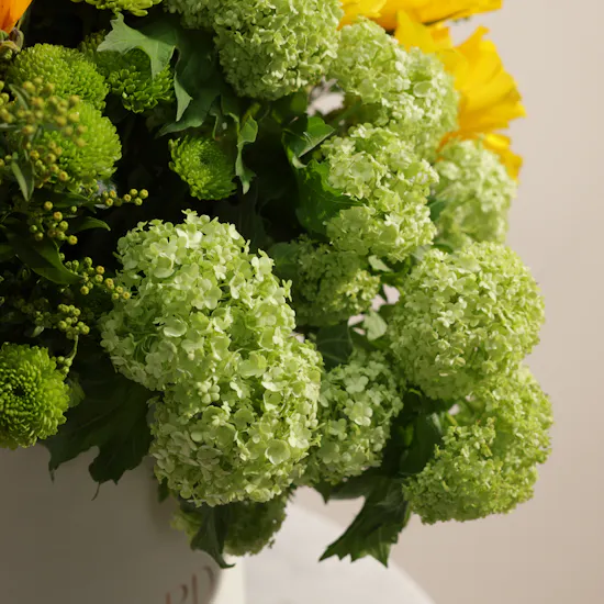 Summer Radiance Flower Box