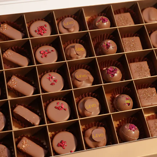 LEVO Medium (40 Pieces)