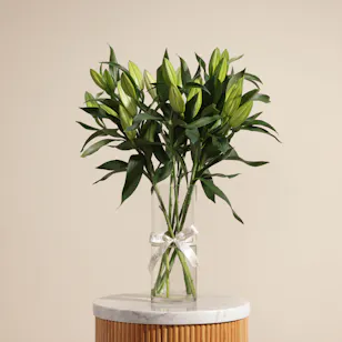 Innocence Lily Vase Innocence Lily Vase
