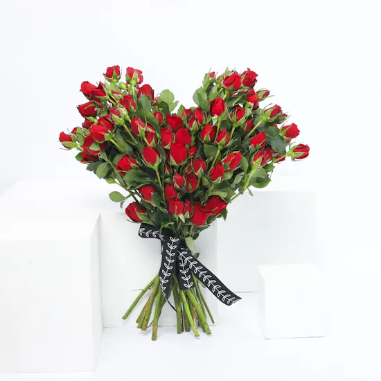 Heart Shaped | Red Roses
