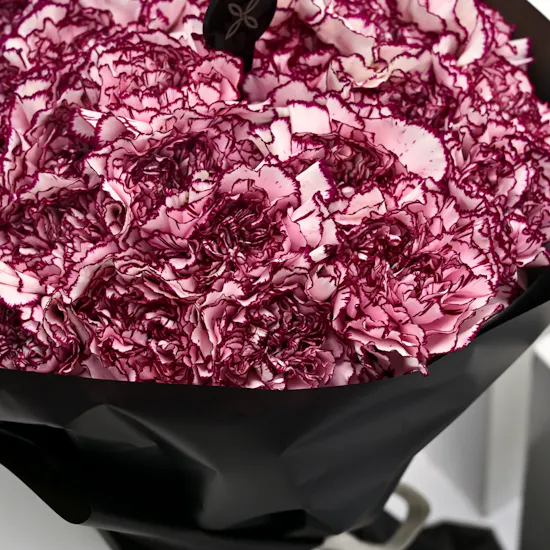 35 carnation bouquet | graduation collection