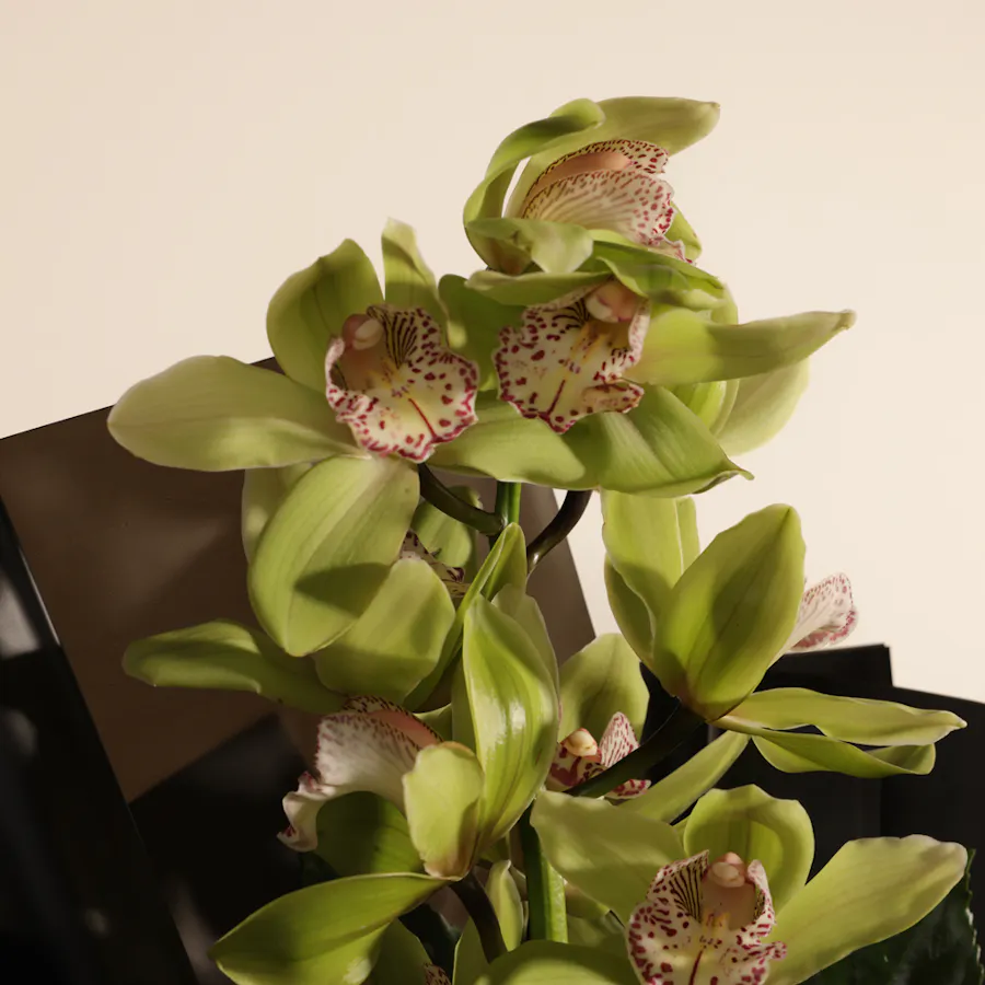 Anoosh Rocky Bites Chocolate Box | Quiet Luxury Flowers Bouquet 5