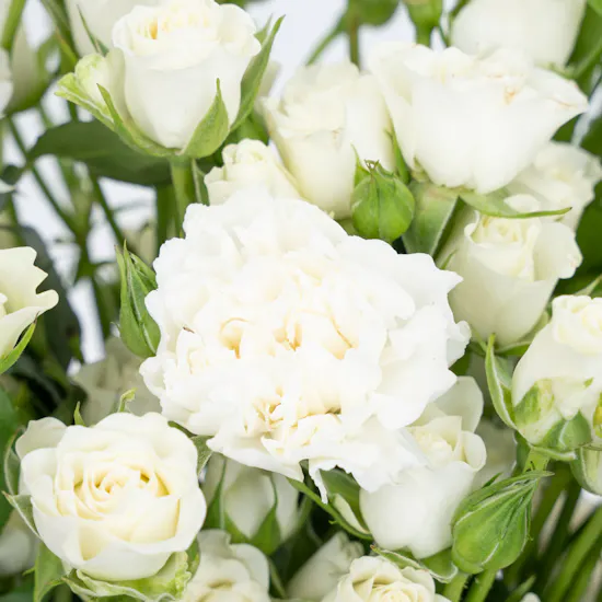 Welcome Baby Girl | White Flowers