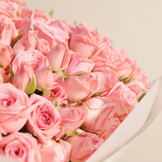 Enchanting Pink Baby Roses Bouquet | 100 Flowers