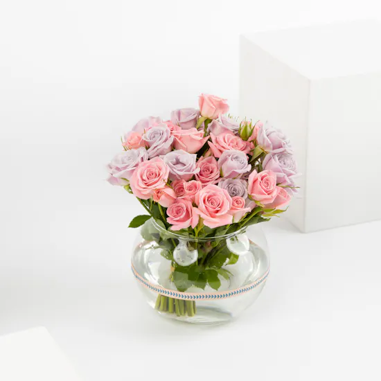 Dream's Vase