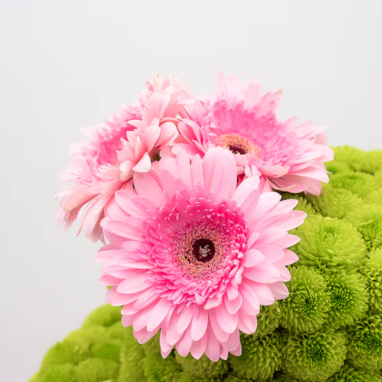 Vibrant Blooms Cake