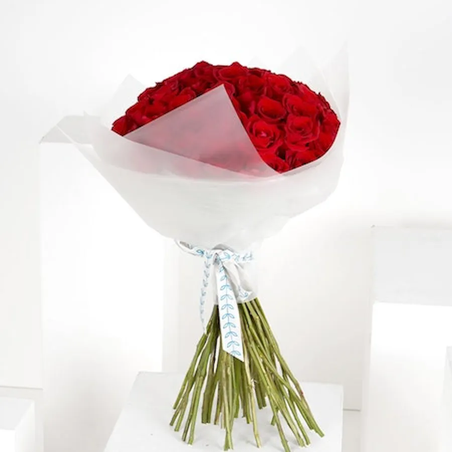 50 Red Roses | White Wrap 1