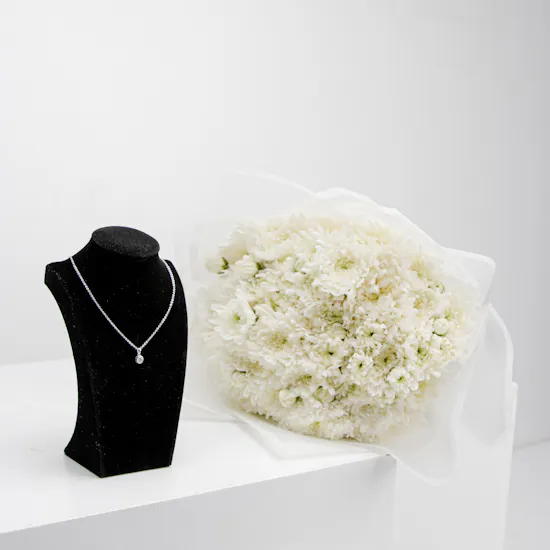Felizmoda Silver Small Diamond Necklace