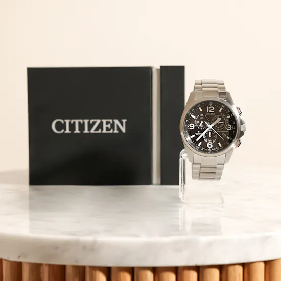 Citizen Promaster Land Men's Watch