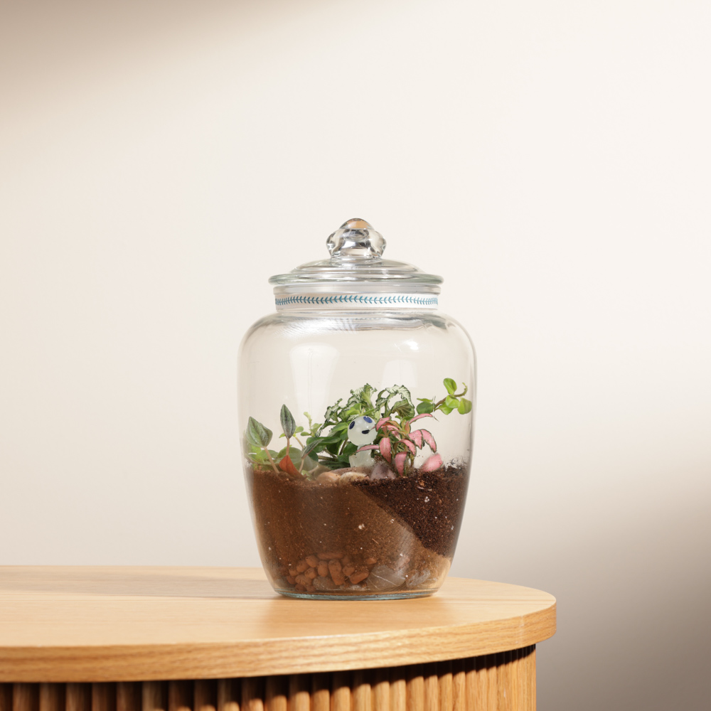 GLOW in the  dark terrarium