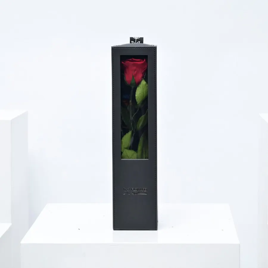 Preserved Red Rose | Black Box 1