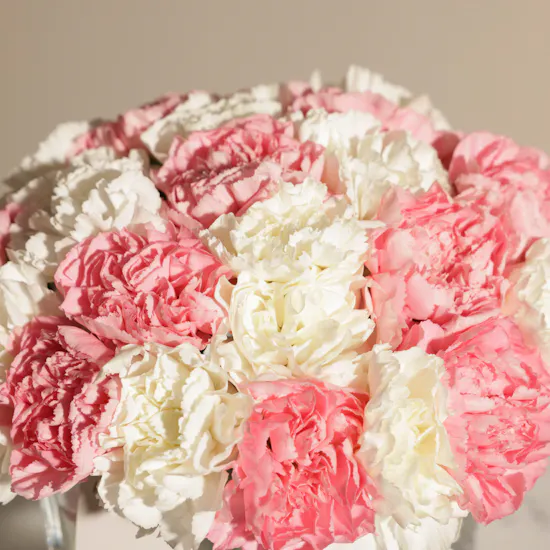 Celestial Carnation Flowers Vase