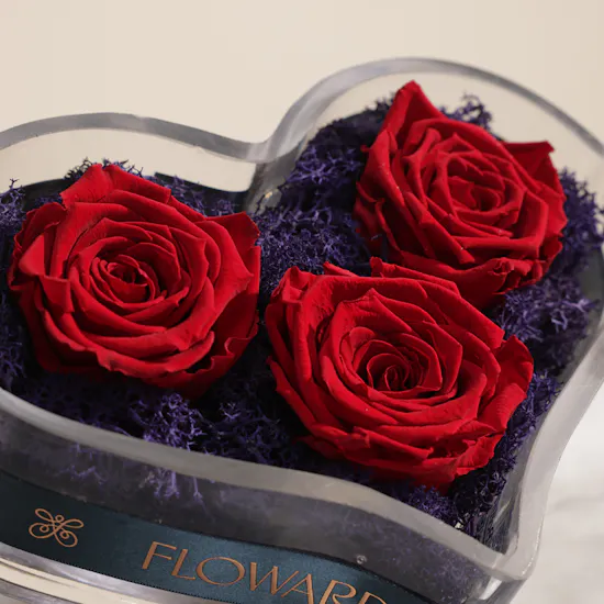 Imperial Love Red Preserved Roses Vase