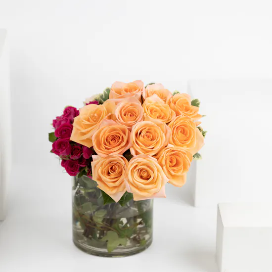 12 Peach Roses | Cylinder