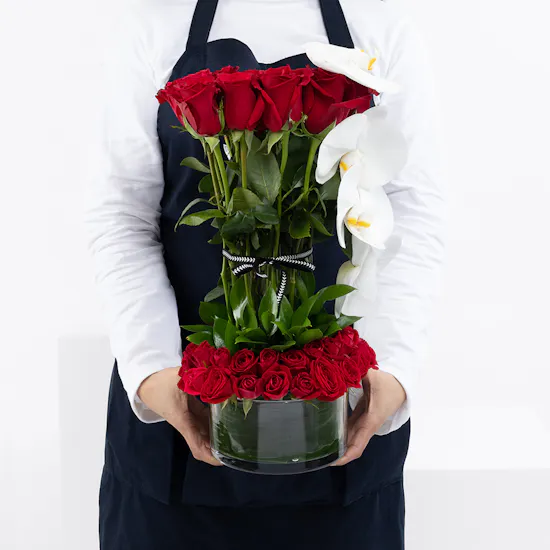 Zinnia | Roses & Orchids