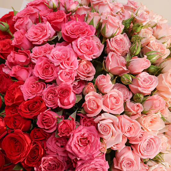 Classic Mixed Baby Rose Bouquet