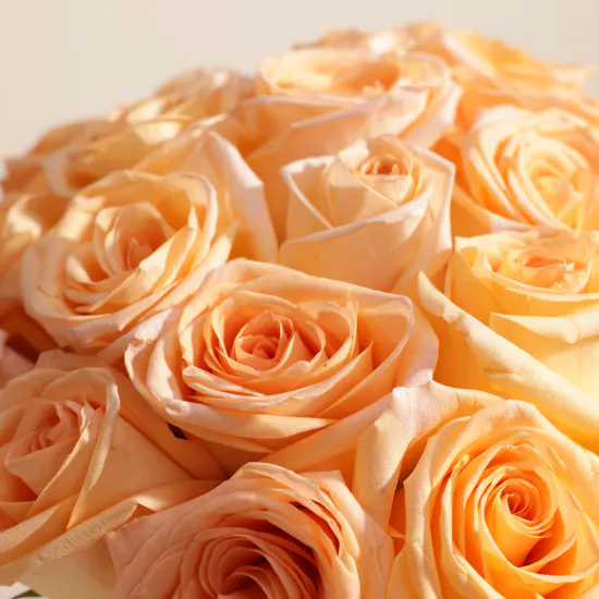 Delicate Peach Rose Vase | 35 Roses