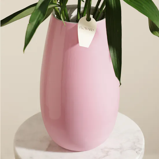 Feminine Muse Lily Vase