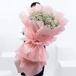 Gypso Lover | Pink Wrap Gypso Lover | Pink Wrap