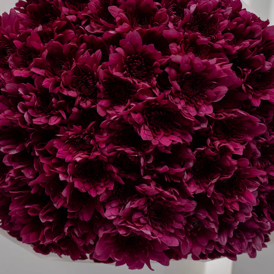 Sucre De Nada Cake | Purple Joy 3