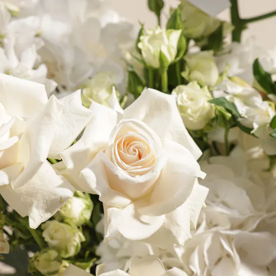 Celestial White Harmony Flowers Vase By September Studio