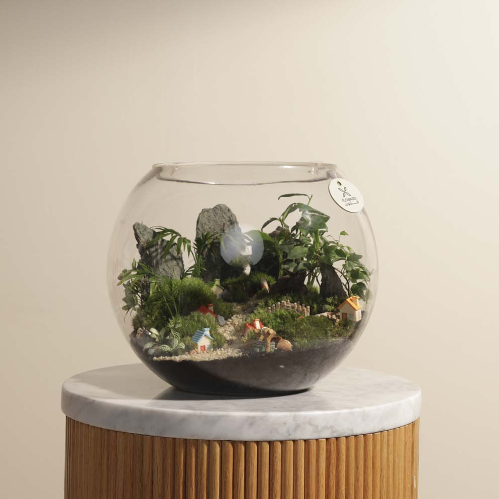  قرية تيراريوم استوائية صغيرة 