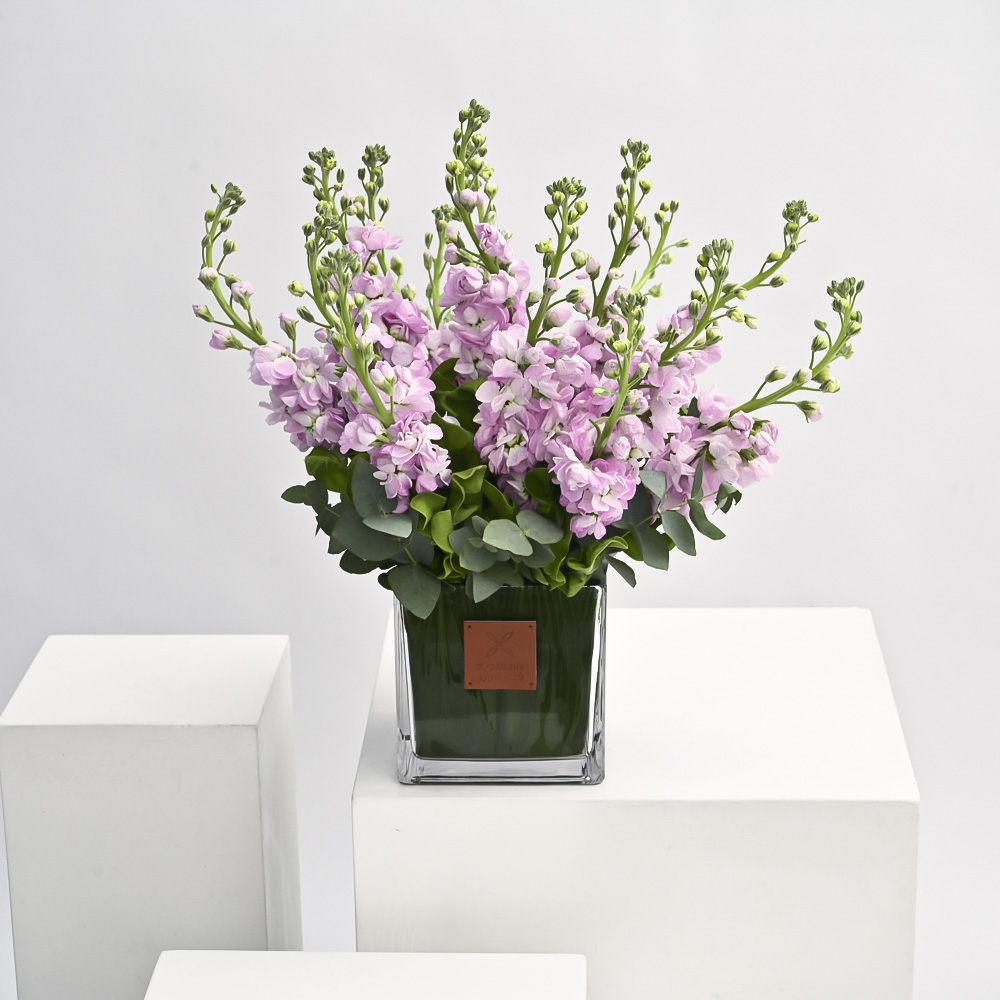 Pink Matthiola | Square Vase