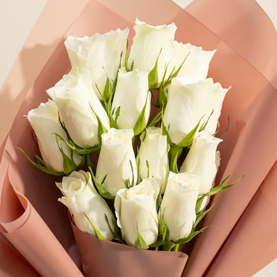 Tissot PR 100 34mm Women's Watch | Blissful Roses Bouquet